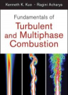 Fundamentals of Turbulent and Multiphase Combustion